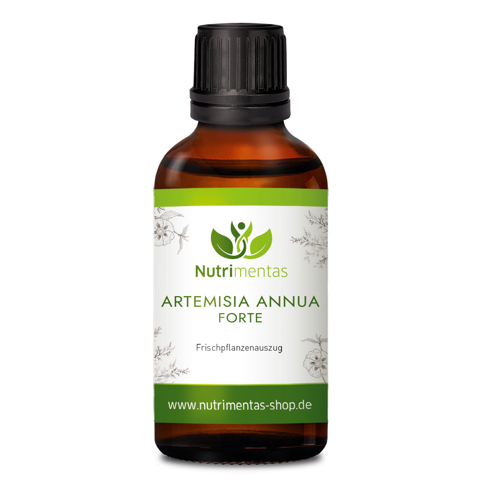 Artemisia Annua Forte - Świeża nalewka roślinna 100ml ekstra mocna!