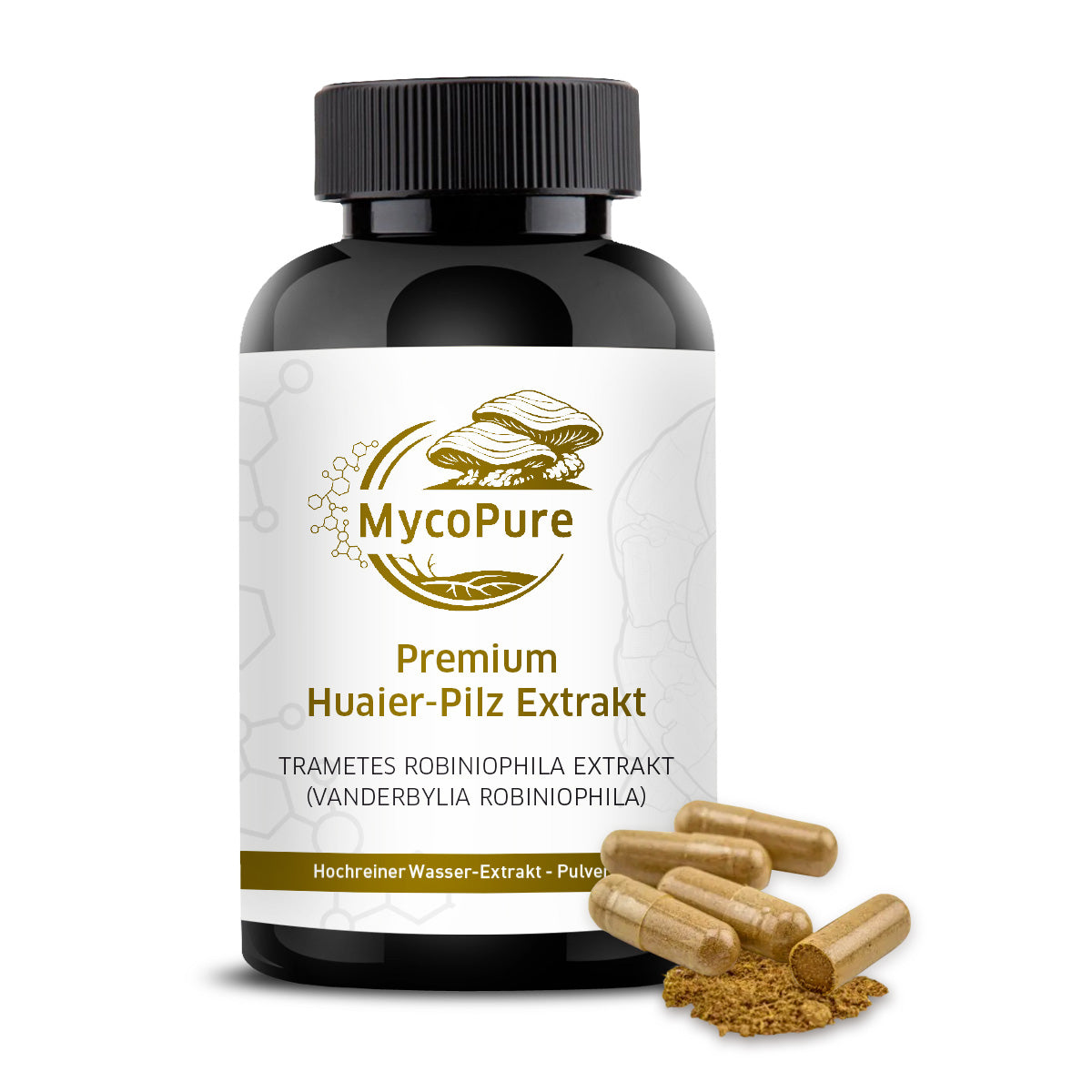 Huaier - Trametes robiniophila Murr. Auftragsverkapselung 240 Kapseln / 138g / Polysaccharide 67,9% Mind 42% Beta-Glucane