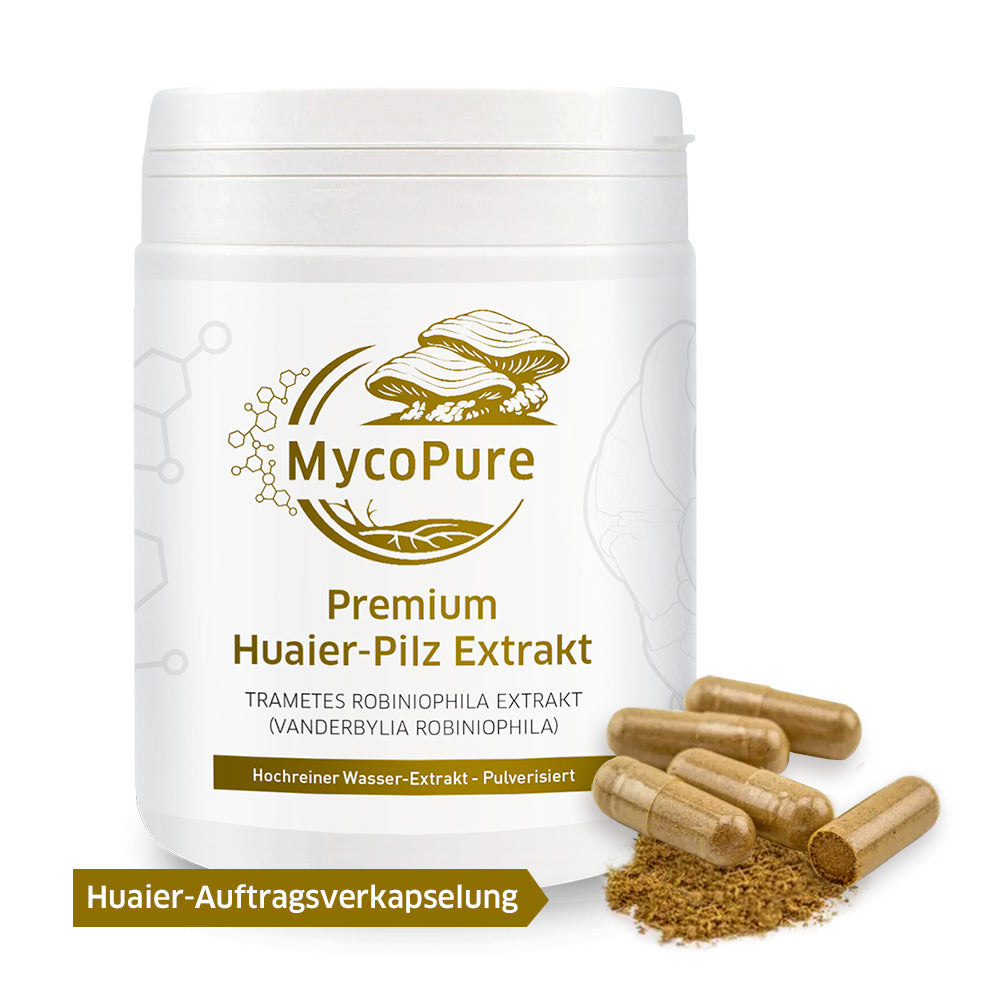 Huaier - Trametes robiniophila Murr. Auftragsverkapselung 120 Kapseln / 69g / Polysaccharide 67,9% Mind 42% Beta-Glucane garantiert