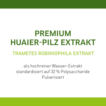 Trametes robiniophila Murr. / Huaier Pilz - 32% Polysaccharide - 350g